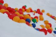 IMG 7495
