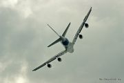 IMG 0209
