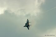 IMG 0229