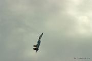 IMG 0359