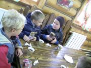IMG 0987