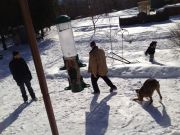 IMG 1183