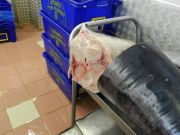 DSCN0632