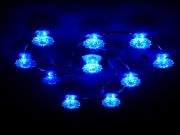 ������� ����