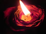 ����, ������, ����...