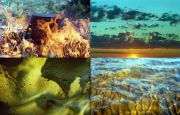 4 elements
