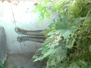 �������� �����