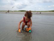 IMG 5146
