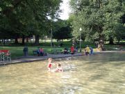 IMG 6286