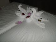 IMG 0107