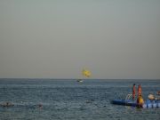 IMG 0180