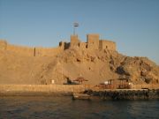 IMG 0421