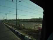 IMG 0529