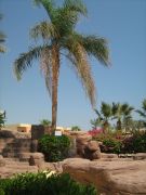 IMG 0577