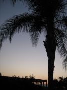 IMG 0709