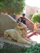 IMG 0734