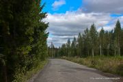IMG 9930