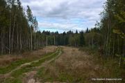 IMG 9935