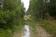 IMG 9936
