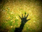 ���� ����