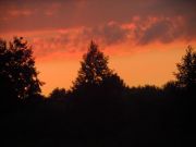 Picture 006