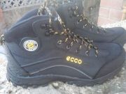 ����� ECCO