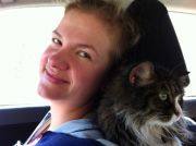 ���������� (6)