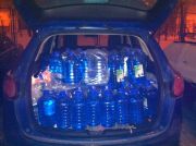 ����������(7)