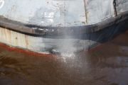 IMG 6785