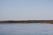 IMG 6947