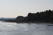 IMG 6951