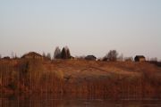 IMG 7118