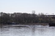 IMG 7197