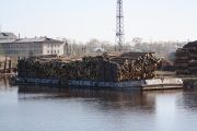 IMG 7354