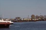 IMG 7381