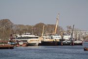 IMG 7388