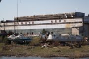 IMG 7416
