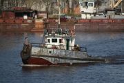 IMG 7451