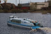 IMG 7779