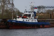 IMG 7782