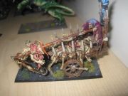 IMG 4256