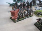 IMG 4259