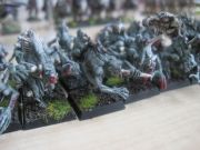 IMG 4261