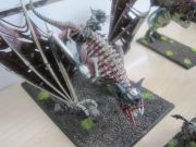 IMG 4263