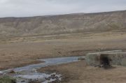 IMG 7915