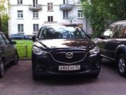 ���������� (4)