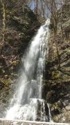 DSC02006