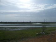DSCN0222