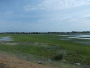 DSCN0225