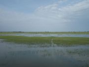 DSCN0227